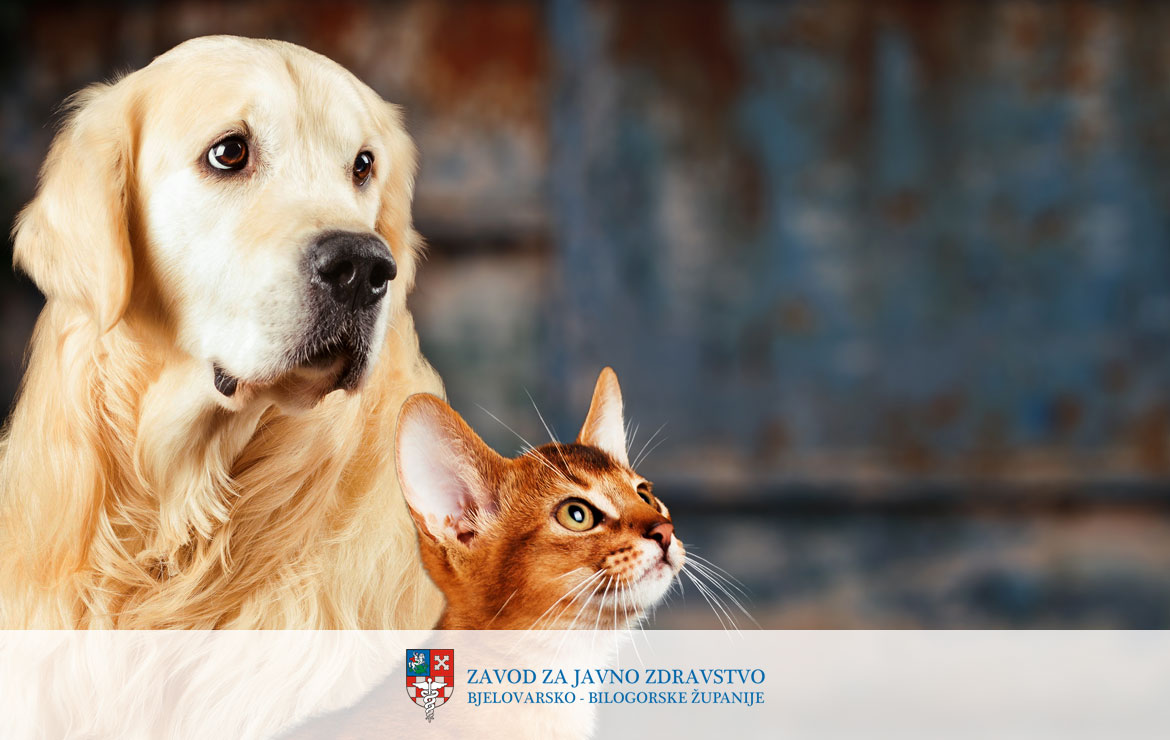 Jeste li znali da psi, mačke i lisice mogu biti opasni za naše zdravlje?
